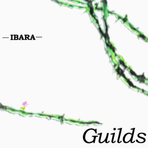 -IBARA-