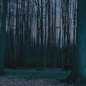 Feed Me More - Single