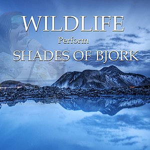 Shades of Bjork