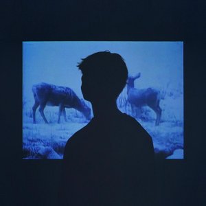 Jumo – Memory LP viršelis