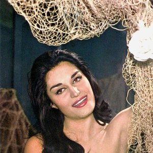 Dalida 的头像