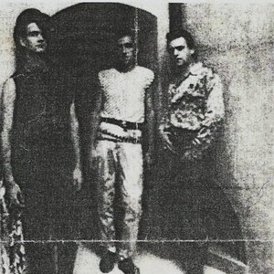 rivolta dell'odio 的头像