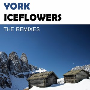 Iceflowers (The Remixes)