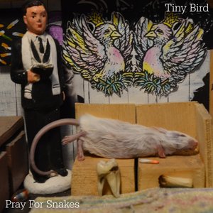 Pray for Snakes