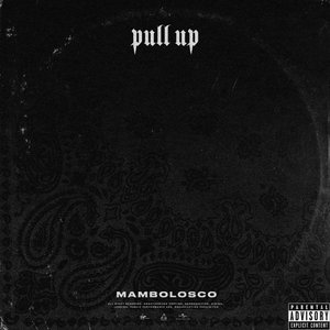 PULL UP - Single