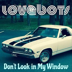 Don’t Look in My Window