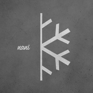 Nani 的头像