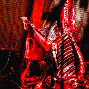 RITUAL LACERATION 的头像