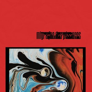 Migração dos Pássaros