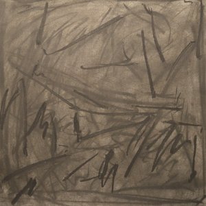 Blades of Grass Covered in Blood