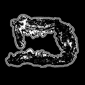 Ulcerative Colitis 的头像