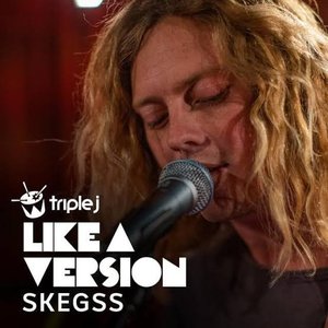 Skegss - Here Comes Your Man Lyrics - Zortam Music