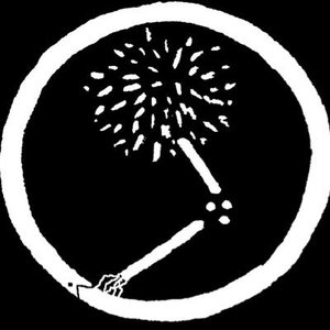 Dandelion Massacre için avatar