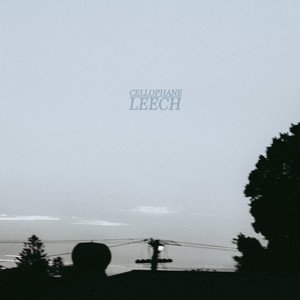 Leech - Single