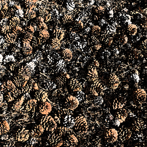 Eyes - Another Night Lyrics - Zortam Music