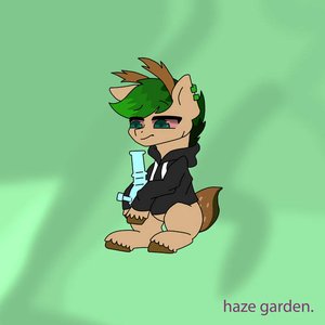 Haze garden.