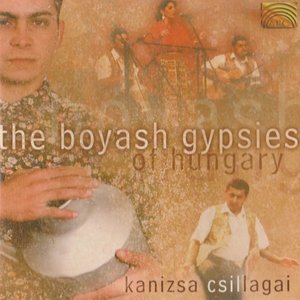 The Boyash Gypsies of Hungary