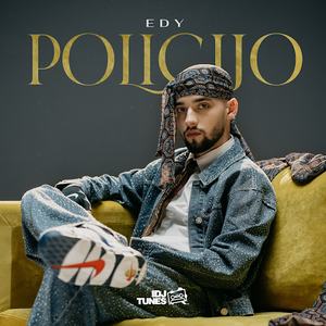 Artwork for Policijo