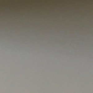 Oblivious - Single