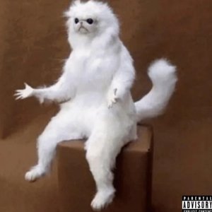 Who's Him Freestyle