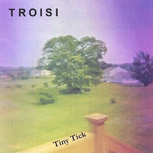 Tiny Tick
