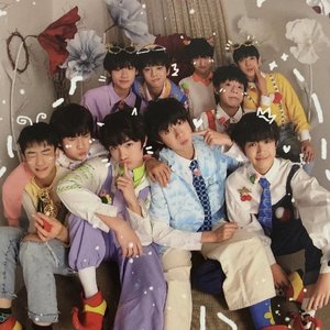 TF家族 的头像