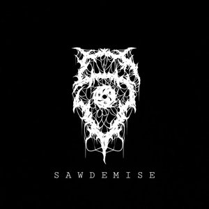 Sawdemise 的头像