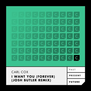 I Want You (Forever) [Josh Butler Remix]