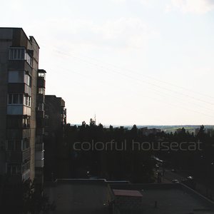 Avatar for colorful housecat