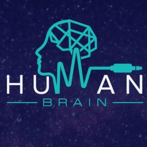 Human Brain 的头像