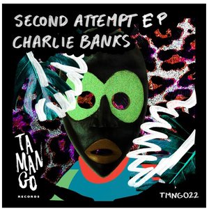 Second Attempt EP