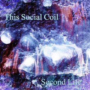 Second Life