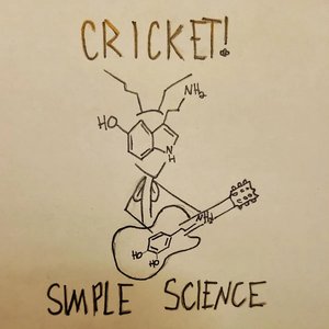 “Simple Science”的封面