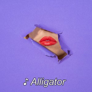 Alligator - Single