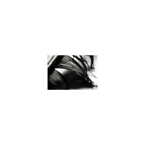 Corvus Remixes