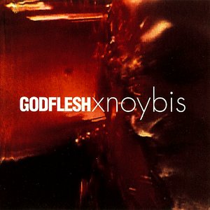 Xnoybis