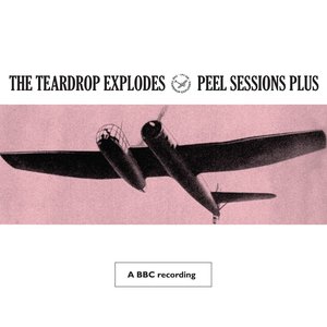 Image for 'Peel Sessions Plus'