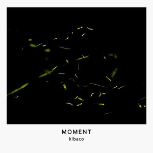 Moment