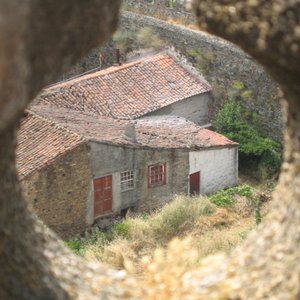Avatar for Fé de Sábio