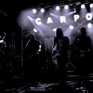 Carpo 的头像