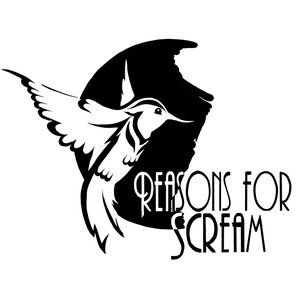 “Reasons for scream”的封面