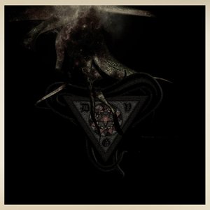 Avatar for Det Vidaapne Gap