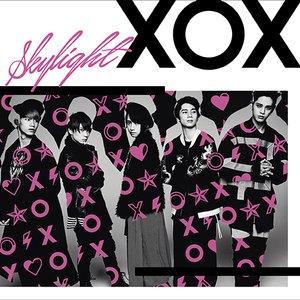 Skylight - Single