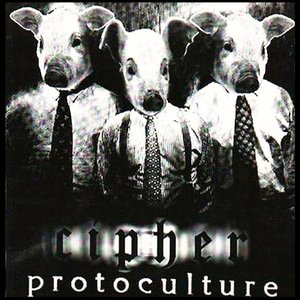 Protoculture