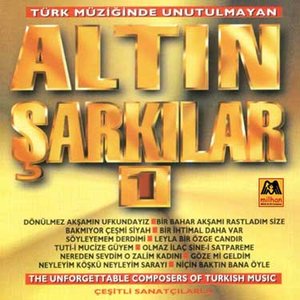 ALTIN SARKILAR 的头像