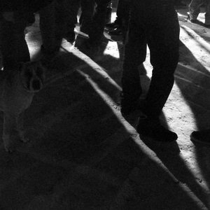 Cani Sciolti