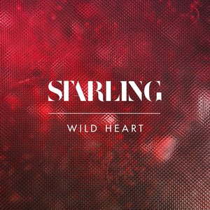 Wild Heart - Single