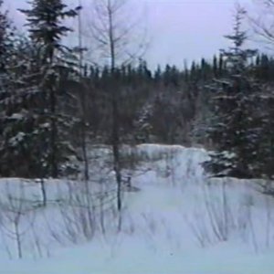 人生の暗い性質