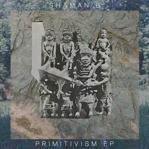 Shaman B 的头像