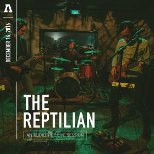 The Reptilian on Audiotree Live